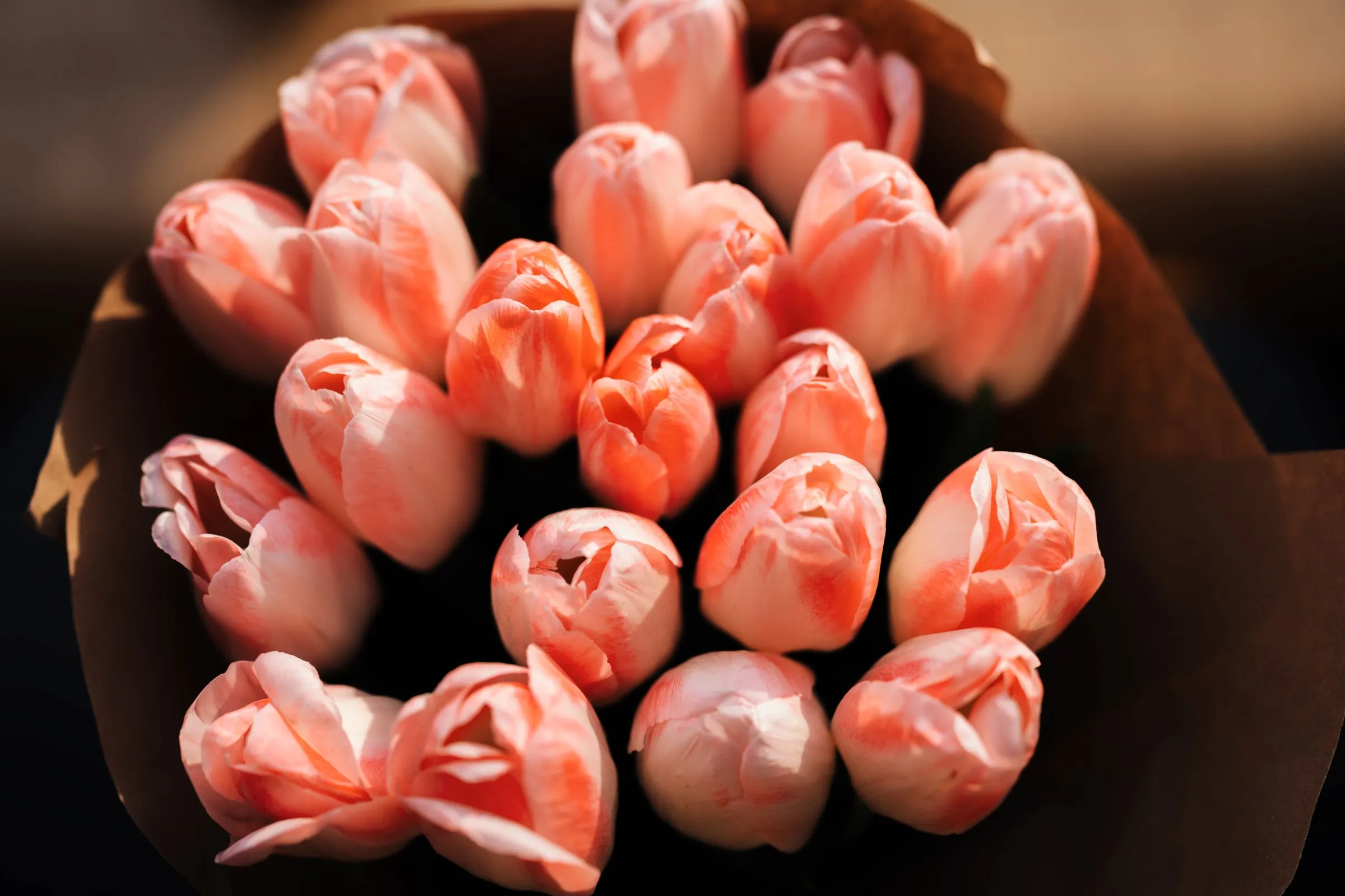 Ein Strauß rosa Tulpen in braunem Packpapier, von oben im warmen Licht gesehen